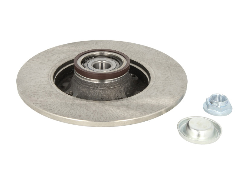 Kočioni disk Zadnji ABE CITROEN, PEUGEOT, DS 249x9 - Slika 3