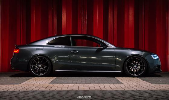 Štelujući Gewinde Amortizeri DTSLINE sa Sportskim Oprugama AUDI A4 B8 + A5 B8 + A7 4G , DTSline 299100230-STREET