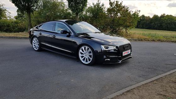 Štelujući Gewinde Amortizeri DTSLINE sa Sportskim Oprugama AUDI A4 B8 + A5 B8 + A7 4G , DTSline 299100230-STREET