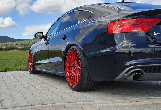 Štelujući Gewinde Amortizeri DTSLINE sa Sportskim Oprugama AUDI A4 B8 + A5 B8 + A7 4G , DTSline 299100230-STREET