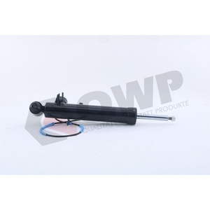 Amortizer Zadnji Levi BMW X5 (F15, F85),X6 (F16, F86) QWP WSA1345
